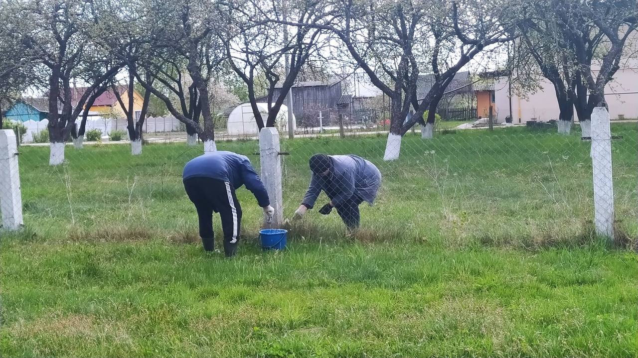 субботник в Кабаковской СШ