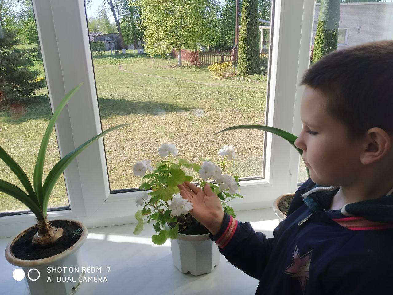 Кабаковская СШ