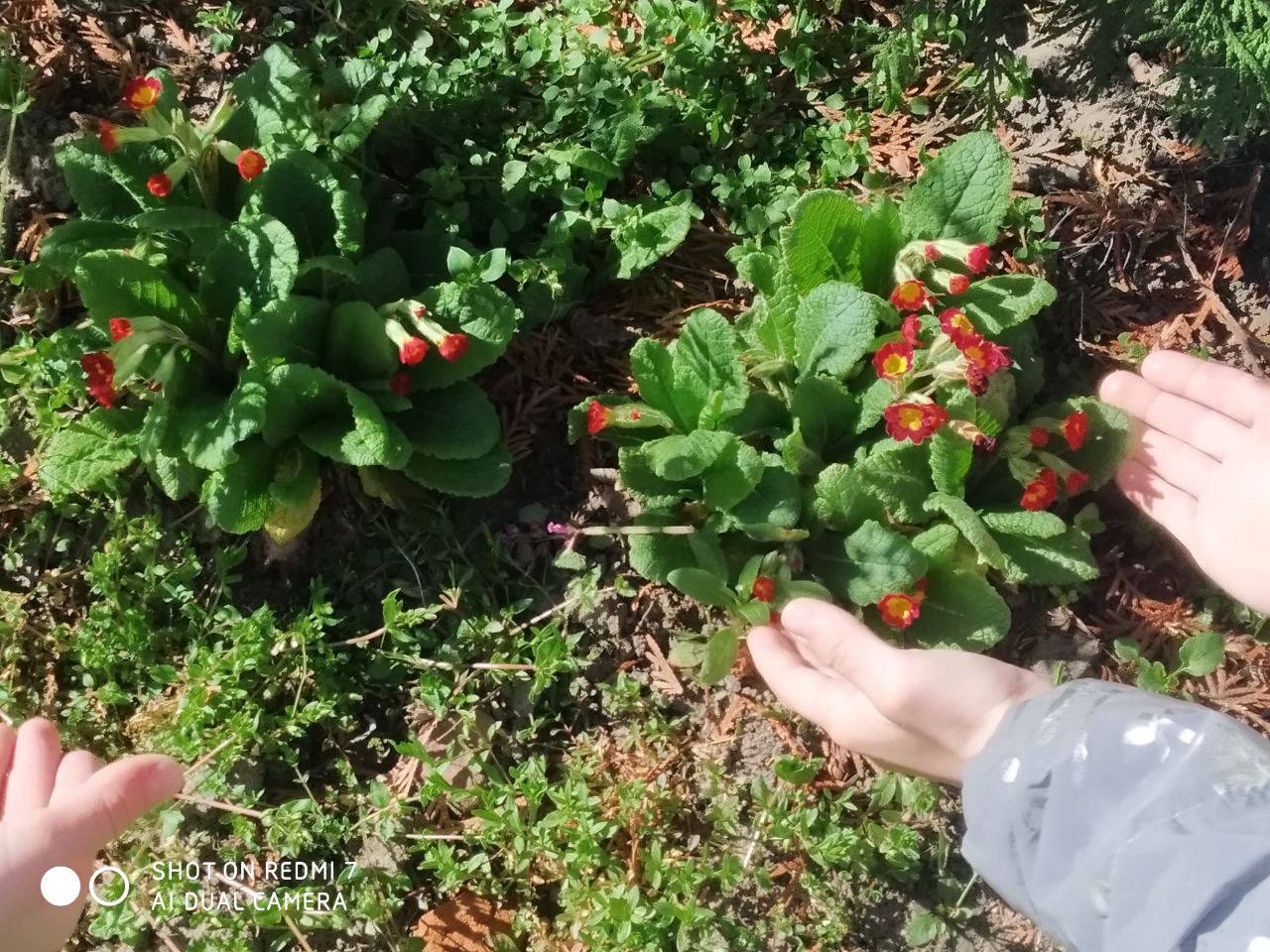 Кабаковская СШ