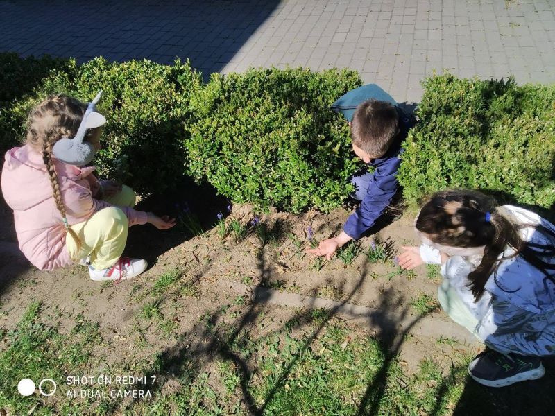 Кабаковская СШ